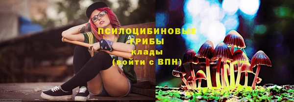 каннабис Беломорск