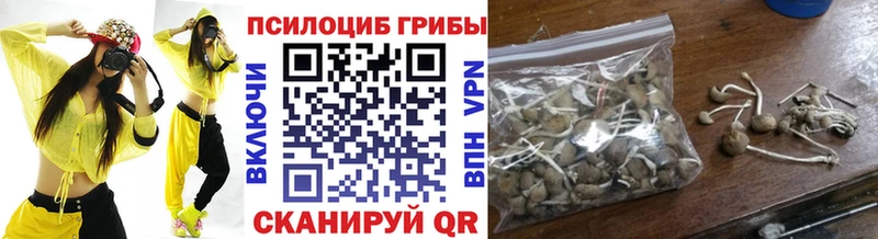 Галлюциногенные грибы Psilocybe Щигры