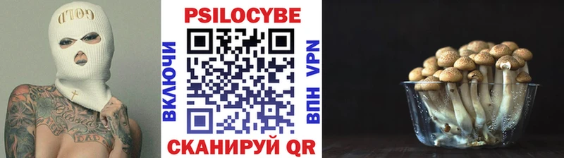 Галлюциногенные грибы GOLDEN TEACHER  Щигры 